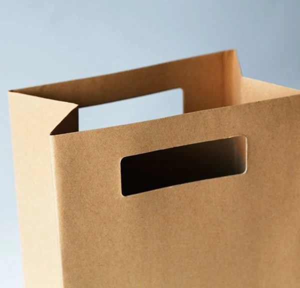Qingdao Flourish New Arrivals 100% Recycled Paper Die Cut Handle Shopping Bags Reusable Kraft Paper Bag