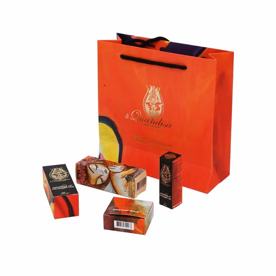 Bolsa de regalo impresa reciclada ecológica personalizada Bolsa de embalaje de embalaje cosmético de prendas de vestir Bolsa de papel OEM / ODM